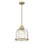 Heritage Brass Glass LED Indoor/Outdoor Pendant Light