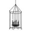 Lassen 8-Light Black Iron and Glass Indoor/Outdoor Pendant