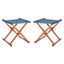 Breanne 17'' Brown and Navy Eucalyptus Folding Stools, Set of 2