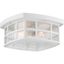 White Glass Outdoor Flush Mount Ceiling Light with Clear Water Panels