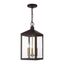 Nyack Bronze and Brass 3-Light Outdoor Pendant Lantern