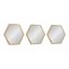 Rhodes Gold Hexagon Wall Mirror Set, 14x16 inches