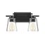 Calhoun Black 2-Light Bathroom Vanity Fixture with Clear Glass Shades