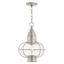 Brushed Nickel Globe Pendant Light with Clear Glass Shade