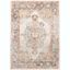 Zuidvelde Traditional Gray and Cream Stain-Resistant Area Rug