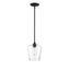 Octave Contemporary Black Mini Pendant with Clear Glass Shade