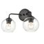 Matte Black Glass Globe 2-Light Vanity Fixture