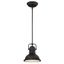 Boswell Mini Globe Farmhouse Pendant in Oil-Rubbed Bronze with Frosted Acrylic