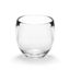 Clear Acrylic Toothbrush Holder with Oval Compartments