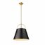 18" Matte Black and Heritage Brass Steel Pendant Light