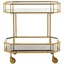 Luxurious Brass Finish and Tinted Glass 2-Tier Bar Cart with Storage