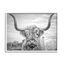 White Framed Black and White Highland Cow Canvas Print