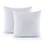 White 16" x 16" Polyester Throw Pillow Inserts, Set of 2