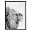 Self Actualizing Lion Black and White Canvas Print