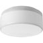 Maier White Glass LED Drum Flush Mount Light