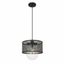 Matte Black Glass Indoor/Outdoor Pendant Light