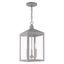 Nyack Nordic Gray 3-Light Outdoor Pendant Lantern with Clear Glass