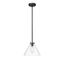 Matte Black Glass 11" Pendant Light