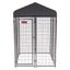 Black Powder-Coated Steel Frame Dog Kennel with Canopy Roof