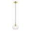 Elegant Mini Pendant Light with Clear Glass and Dual Brass Finish