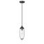 Matte Black Glass and Nickel Indoor/Outdoor Pendant Light