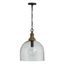 Inglewood Clear Glass Dome Pendant with Grey Wash and Pewter Finish