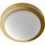 Aged Brass and Satin Opal Glass 2-Light Ceiling Flush Mount