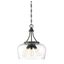 English Bronze Glass Transitional Pendant Light