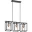 Black Steel Cage 3-Light Linear Chandelier with Clear Seeded Glass