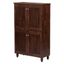 Baxton Studio Fernanda Oak Brown Tall Hanging Shoe Storage Cabinet