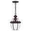 Bronze Clear Glass Outdoor Hanging Pendant Light