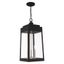 Oslo Black 3-Light Outdoor Pendant with Clear Glass