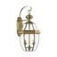 Antique Brass 2-Light Outdoor Wall Lantern with Clear Glass