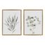 Set of 2 Neutral Botanical Framed Canvas Prints