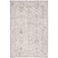 Hamilton Gray and Beige 4' x 6' Hand-knotted Wool Rug