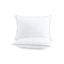 Queen Size White Hypoallergenic Polyester Bed Pillows with Silver Piping