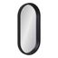 Travis Capsule Black Wood Framed Full-Length Vanity Mirror 12x24