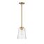 Warm Brass and Clear Glass Mini Pendant Light