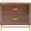 Walnut and Brass 2 Drawer Modern Nightstand with Gold Trim