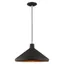 Black and Gold Aluminum Mini Pendant Light