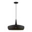 Banbury Modern Indoor/Outdoor Pendant - Black and Antique Brass with LED