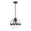 Matte Black Adjustable Globe Pendant Light with Clear Glass Shade