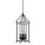 Lassen Black Iron 4-Light Pendant Chandelier