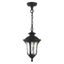 Oxford Textured Black Hand Blown Glass 1-Light Outdoor Pendant