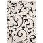 Ivory and Black Floral Shag Area Rug