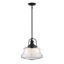 English Bronze Glass Pendant Light with Clear Shade