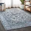 Modern Persian Medallion Light Grey/Blue Synthetic Area Rug