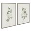 Eucalyptus Greenery Framed Canvas Wall Art Set