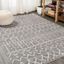 Gray and Ivory Trellis 8' x 10' Synthetic Area Rug