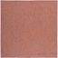 Rust Square Synthetic Non-slip Indoor/Outdoor Area Rug